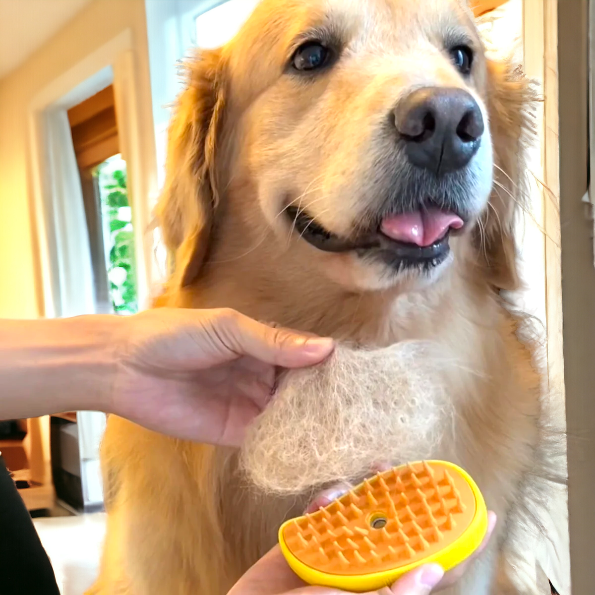 FluffyEase Steamy Brush: 3-in-1 Pet Grooming Master Brush